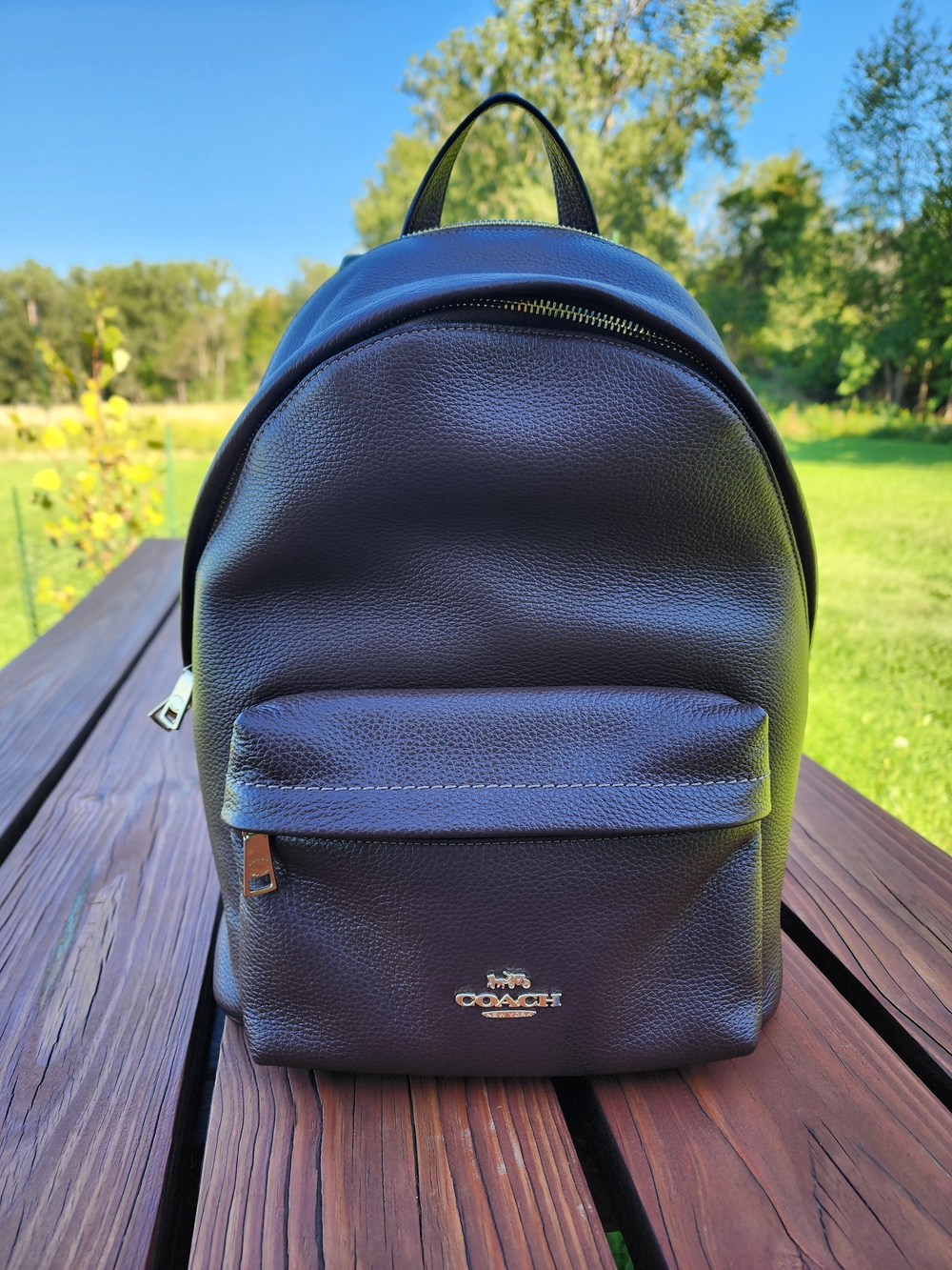 Coach Taylor Small Leather Backpack - Maple
